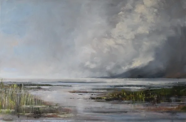 Wetlands under low cloud